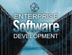 enterprise software development