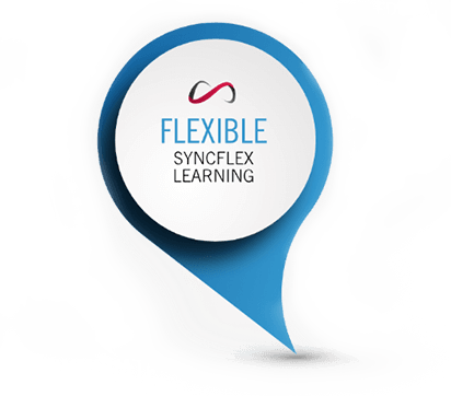 Flexible Syncflex Learning