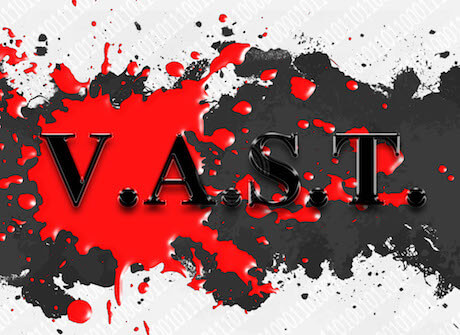 V.A.S.T.  | Cyber Security