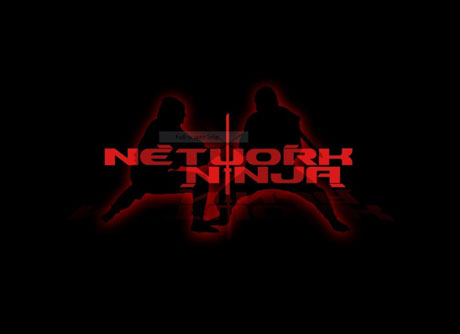 Network Ninja  | Cyber Security